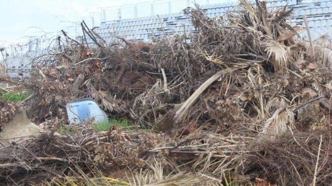 Cumuli di frasche lasciati nel parco L’assessore: «Provvederemo a smaltirli»
