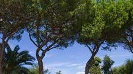 Caos Idroscalo: potrebbe ritornare al Demanio