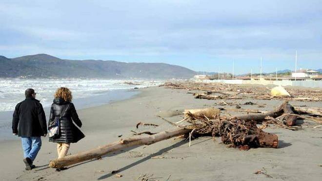 Cadavere ritrovato sulla spiaggia di Marina di Carrara