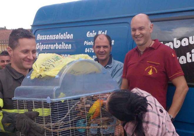 I vigili del fuoco recuperano il pappagallino Titti