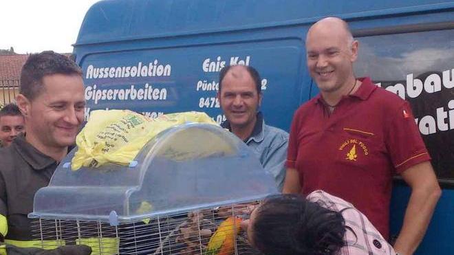 I vigili del fuoco recuperano il pappagallino Titti