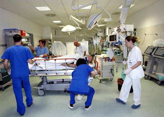 In 14 finiscono all’ospedale per intossicazione da funghi 