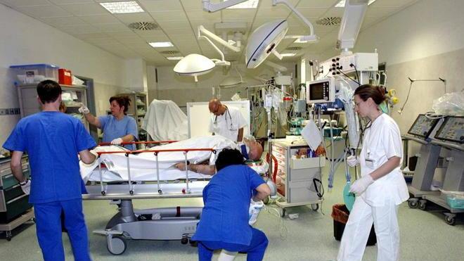 In 14 finiscono all’ospedale per intossicazione da funghi