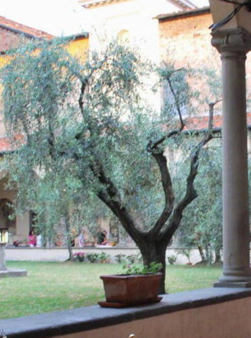 Artigianato in vetrina nel chiostro 