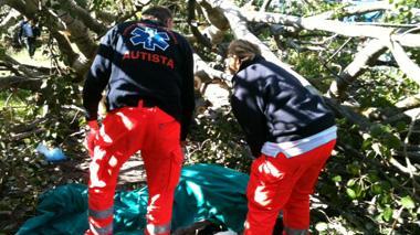 Morì schiacciato da un albero, chieste 4 condanne