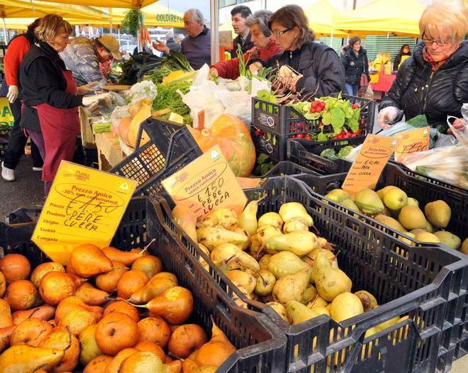 Prodotti agricoli e alimentari, al via contratti scritti e pagamenti certi 