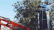 Raccolta meccanica delle olive