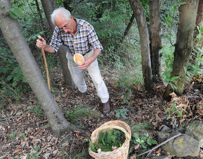 Funghi, numero chiuso e tariffe come in Emilia 