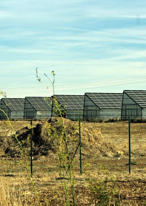 Nelle serre fotovoltaiche nessun tipo di coltivazione 