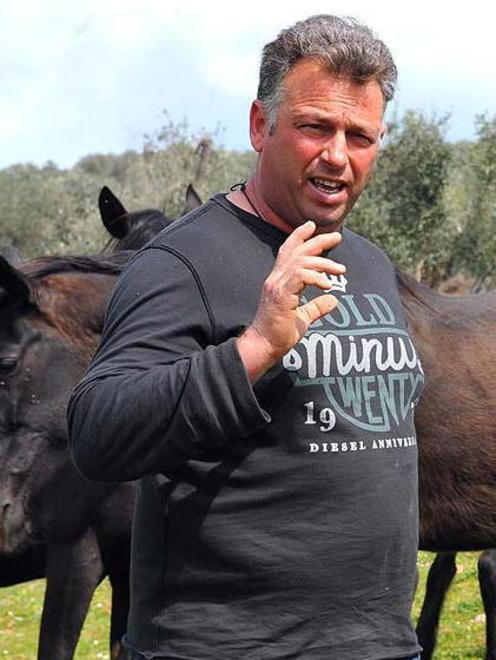 Cavalli denutriti, allevatore a giudizio 
