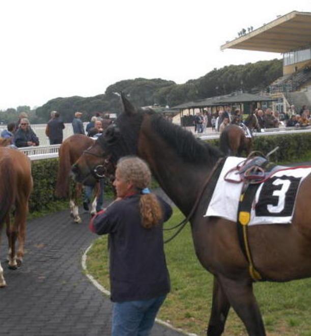 Tante novità per il pubblico: maxischermo per la diretta da Ascot. E poi calcio e pizza