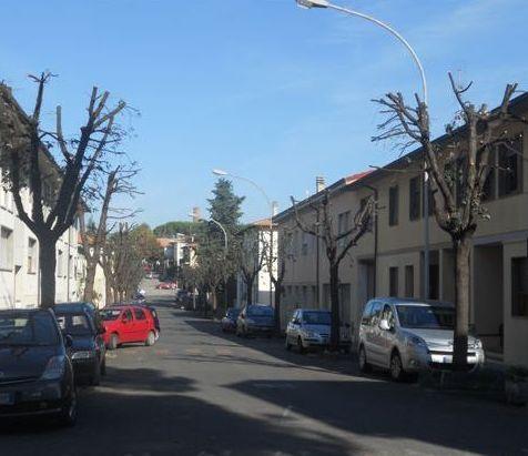 Potati i lecci anche in via Pegolotti
