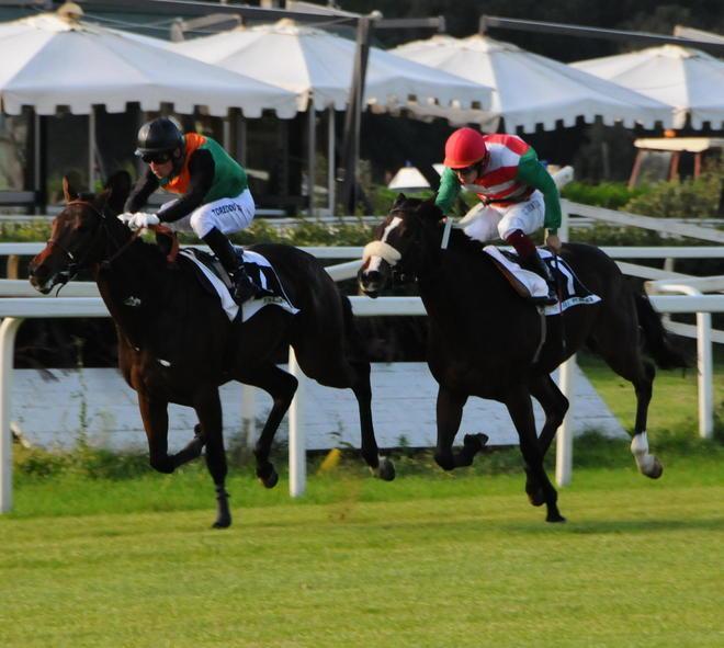 Martin Mount e Turcasso debuttanti top a S. Rossore 