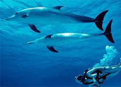 Aree marine protette Comunità del Parco incontra Sammuri 