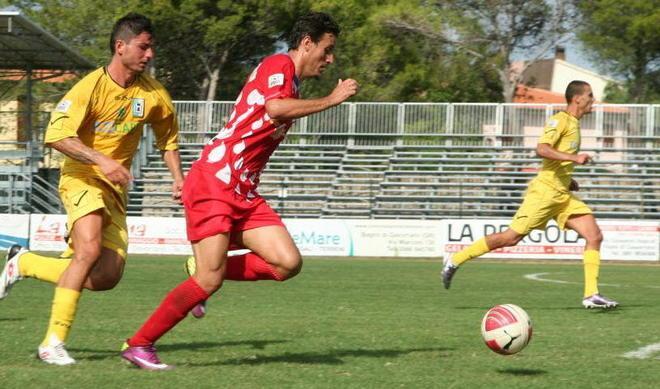Gurma strepitoso, Gavorrano corsaro a Chieti 
