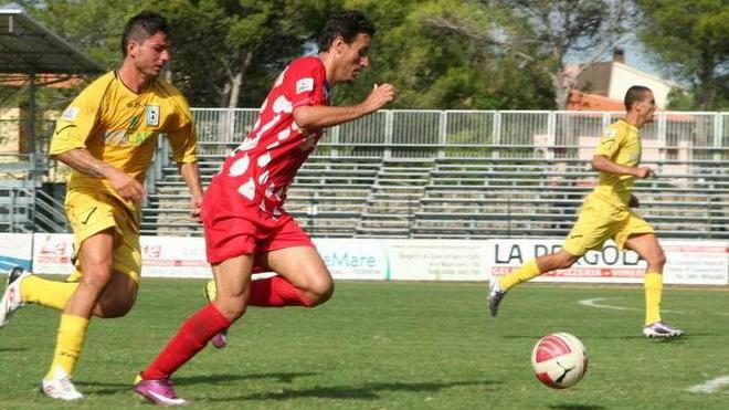 Gurma strepitoso, Gavorrano corsaro a Chieti