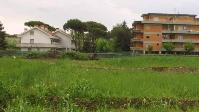 «Il Pd sbaglia su Riva dei Ronchi»