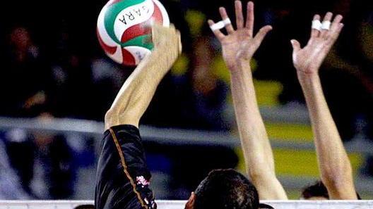 Come mordono i Lupi...