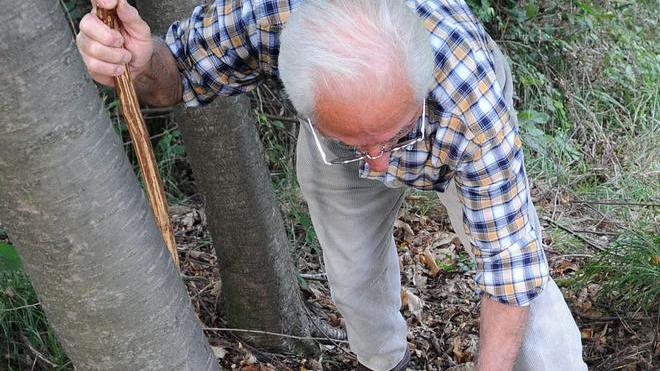 Quel consiglio sul raccolto chiesto all’amico