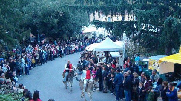 S. Sebastiano vince a Sassetta il Palio dei ciuchi