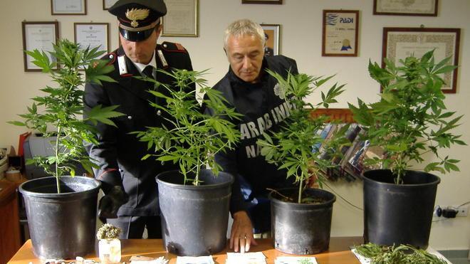 Sorpreso con la droga, arrestato giovane boscaiolo