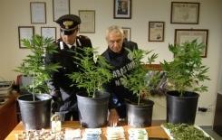 In casa marija e hashish, arrestato 