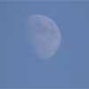 Le immagini della luna...di giorno 