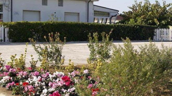 Aiuole e spazi verdi dati in adozione a cittadini e aziende