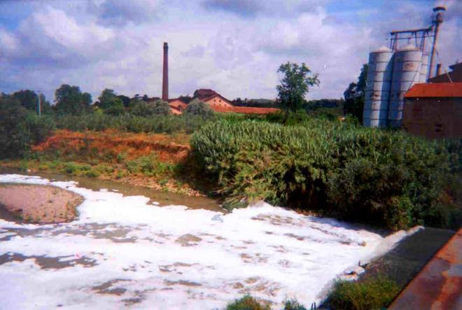 Mistero sull’origine delle schiume sull’Elsa 