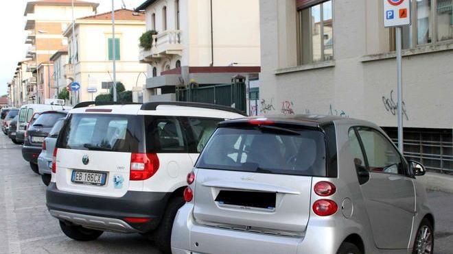 Oltre mille multe contro l’inciviltà