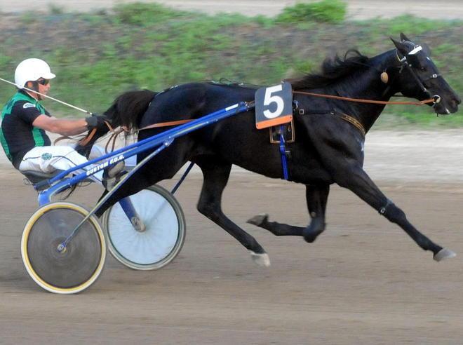 Pini, la pista dei record Italiano eguaglia Varenne 