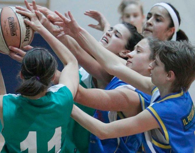 Serie B, la Ies riparte con entusiasmo 