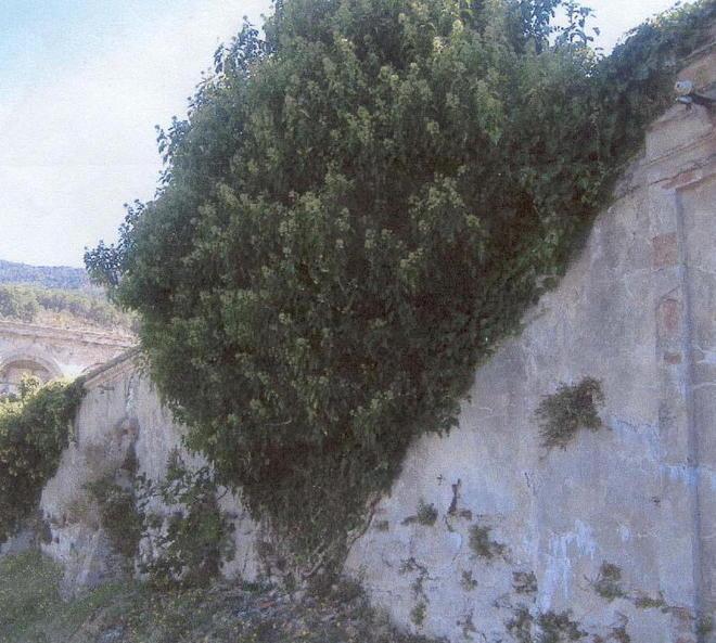 Allarme a Montemagno «Il cimitero sta franando» 