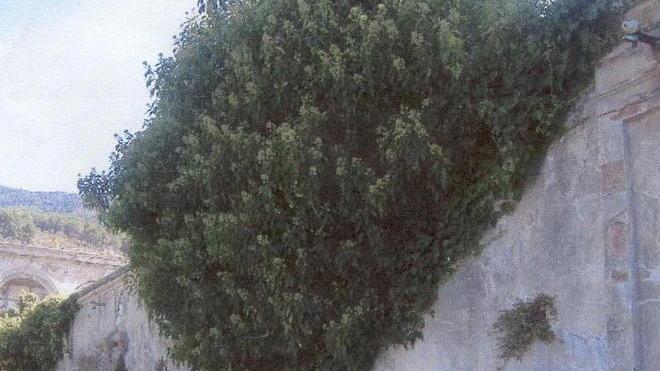 Allarme a Montemagno «Il cimitero sta franando»