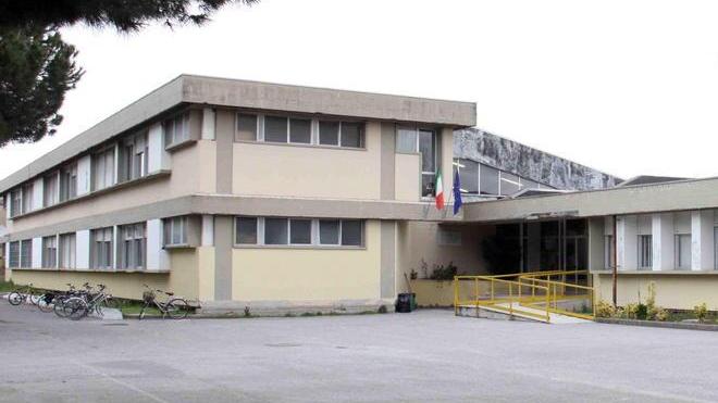 Allarme per un topo morto nel cortile della scuola