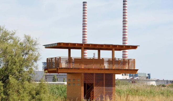 Passeri e storni in condominio 