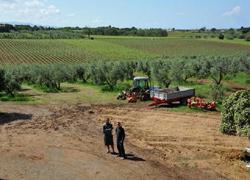 Mille operai sottopagati nei campi per 6 euro l’ora 