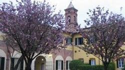 Devolve il premio al fondo ricerca della Sant’Anna