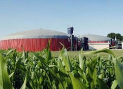 Biogas, doppio blitz alla conferenza di procura e Striscia 