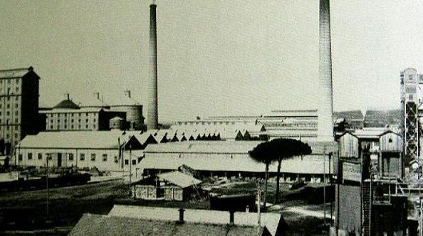 Colatarci nuovo direttore Italia 
