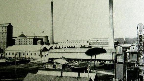 Colatarci nuovo direttore Italia
