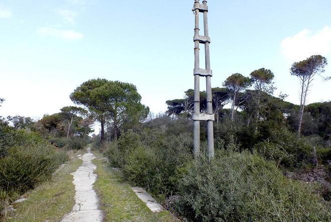 Nuove piste ciclabili: a Marina lungo la linea del trammino