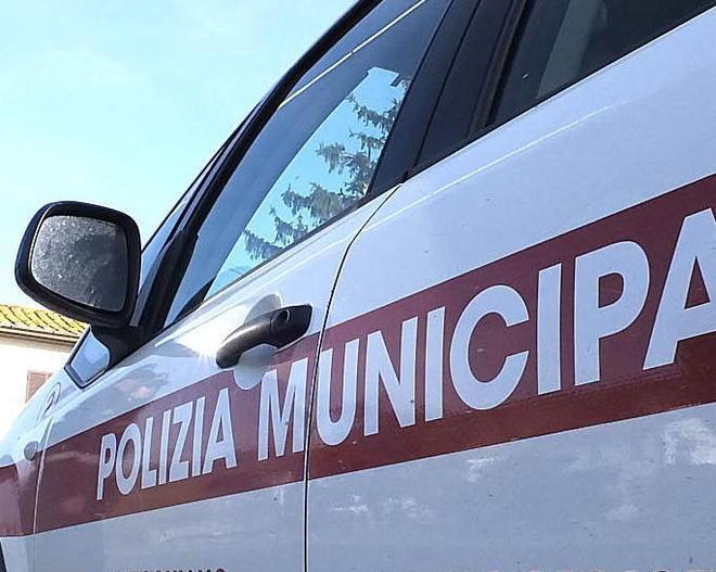 Camionista picchia vigilessa 