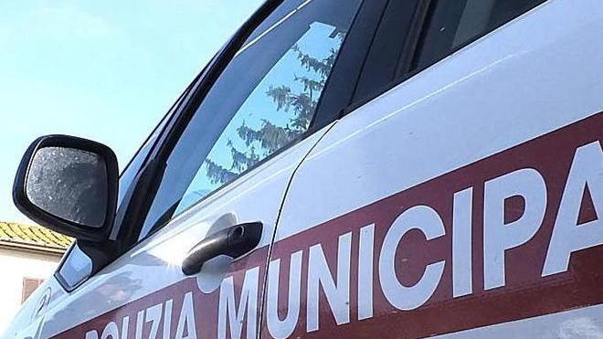 Camionista picchia vigilessa