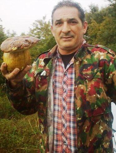 È arrivato il tempo dei funghi: un galateo per i cercatori 