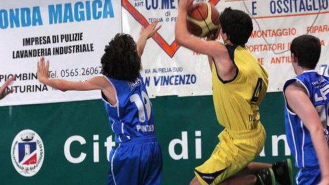 Donoratico: under 14 colpo a Gavorrano