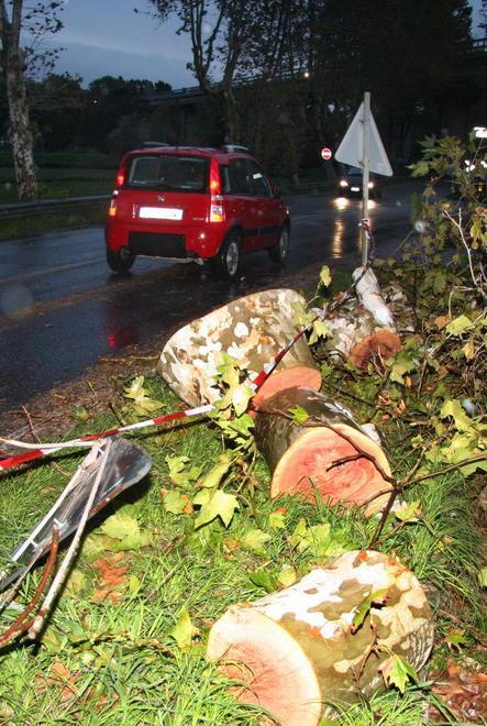Albero cade su un capannone a pochi metri dalla Sarzanese