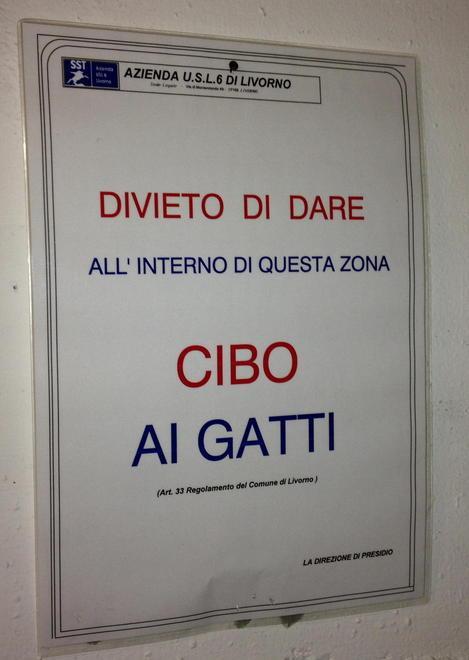 Rogo nel centro di sterilizzazione Evacuati i pazienti in attesa di Tac
