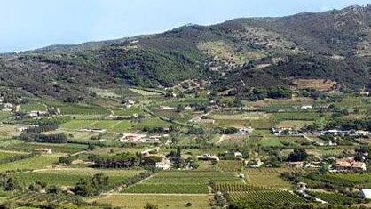 Fazenda e Galea tra i vini top di Veronelli