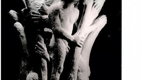 «Niente monumento ai caduti, non vado al 4 Novembre»